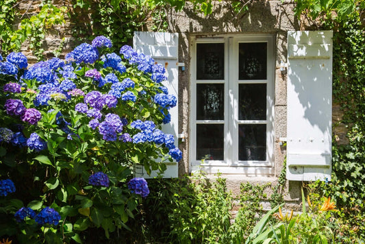 Gardening Trends For 2025