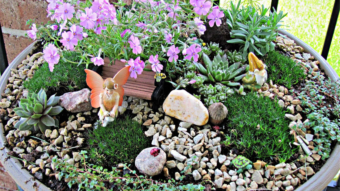 Exploring the Magic of Fairy Gardens - Tree Nursery Co