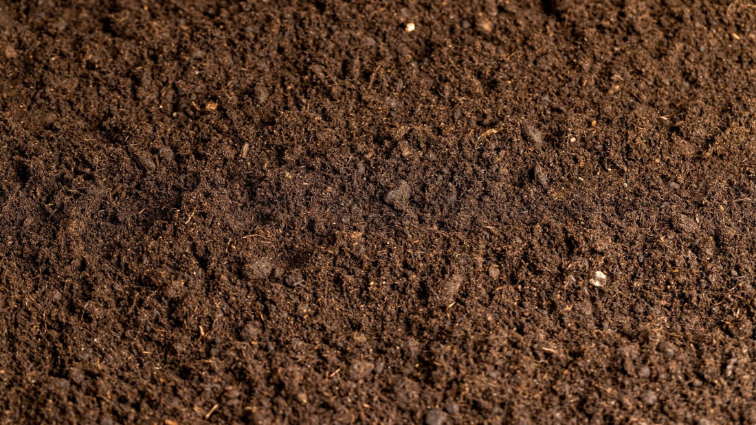 Soil