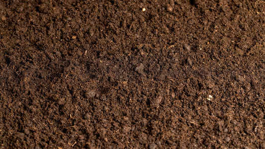 Soil