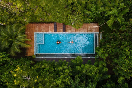 Plants that Thrive Around Pools and Water Features