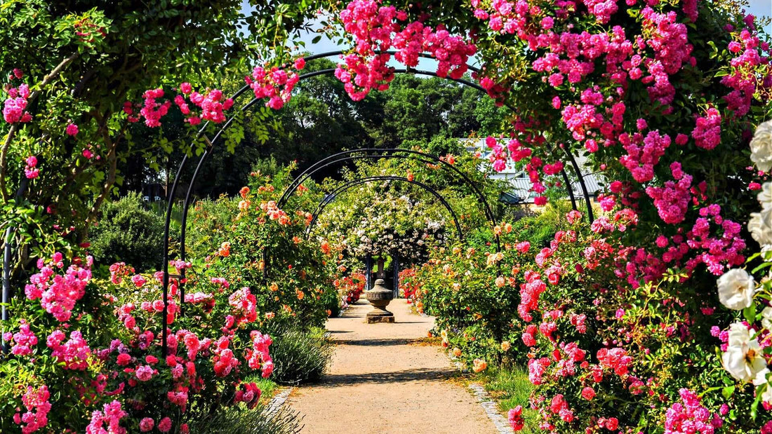 DIY Garden Projects: Creative Ideas for Garden Enhancements - Tree Nursery Co