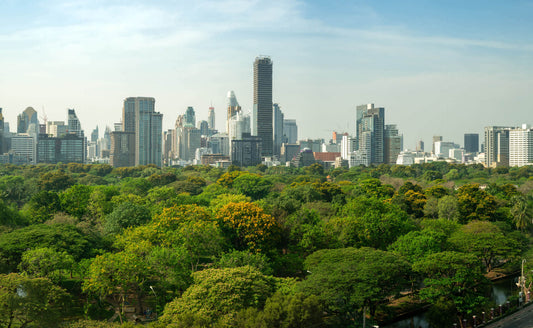 Urban Tree Canopy