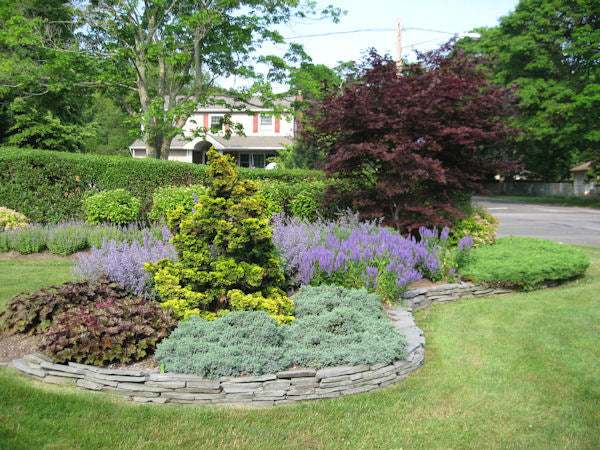 How To Get Started: Planning a Garden