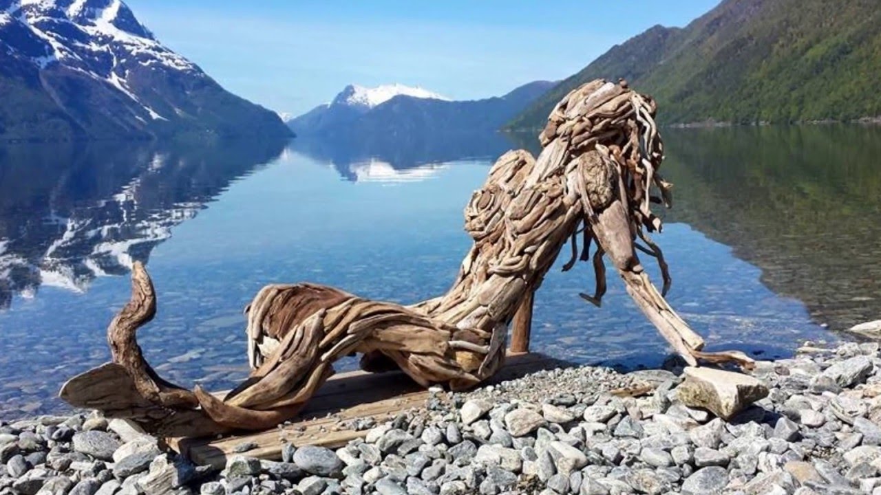 Driftwood Can Take Many Shapes, Forms, And Sizes