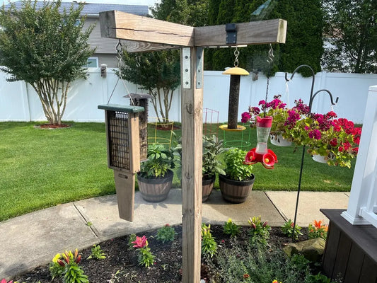 The Perfect Backyard Bird Sanctuary Tennessee Wholesale Nursery