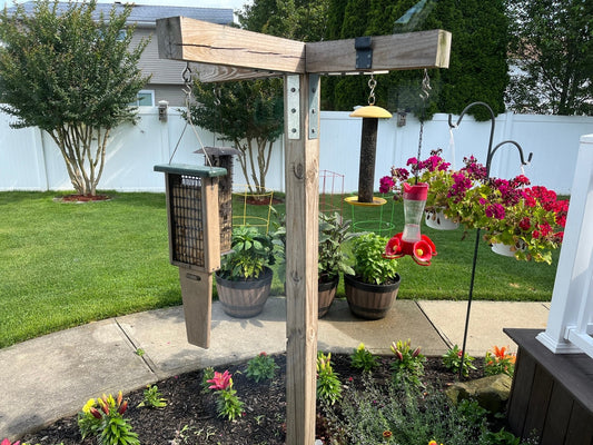 The Perfect Backyard Bird Sanctuary