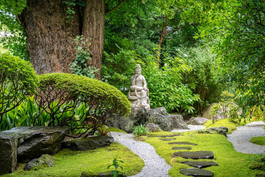 Live Moss : Transform Your Garden with Nature's Carpet