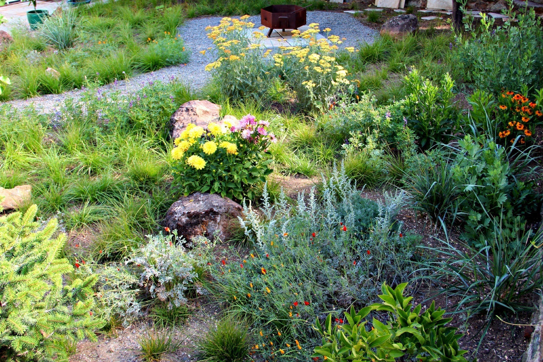 Native Plants Grow In The Area That They Originate From