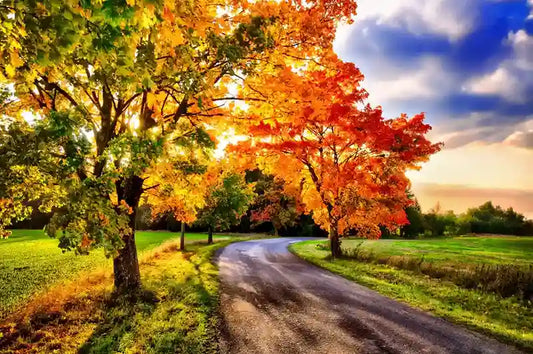 Plant Trees for Healthy Growth