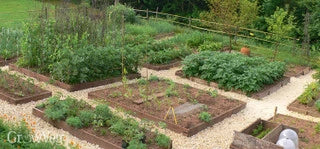 The Advantage Of Growing Your Vegetables