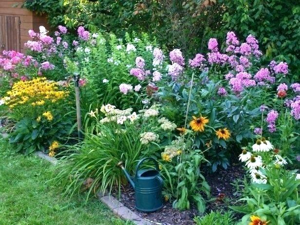 Successful Perennial Garden Tips And Advice