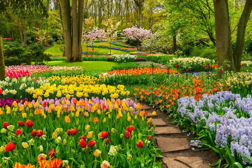 Image of Perennials