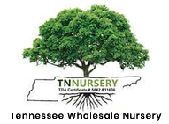 Tennessee Wholesale Nursery