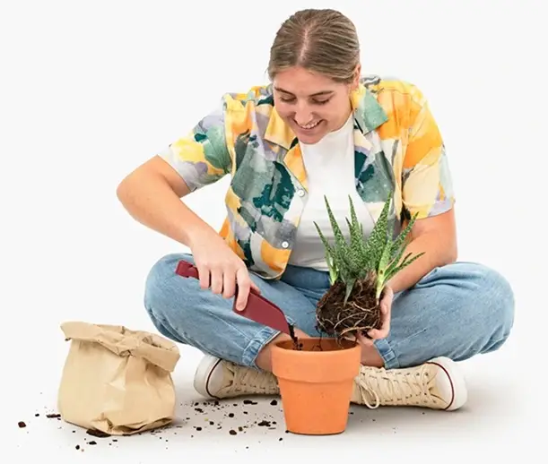 Eco friendly image